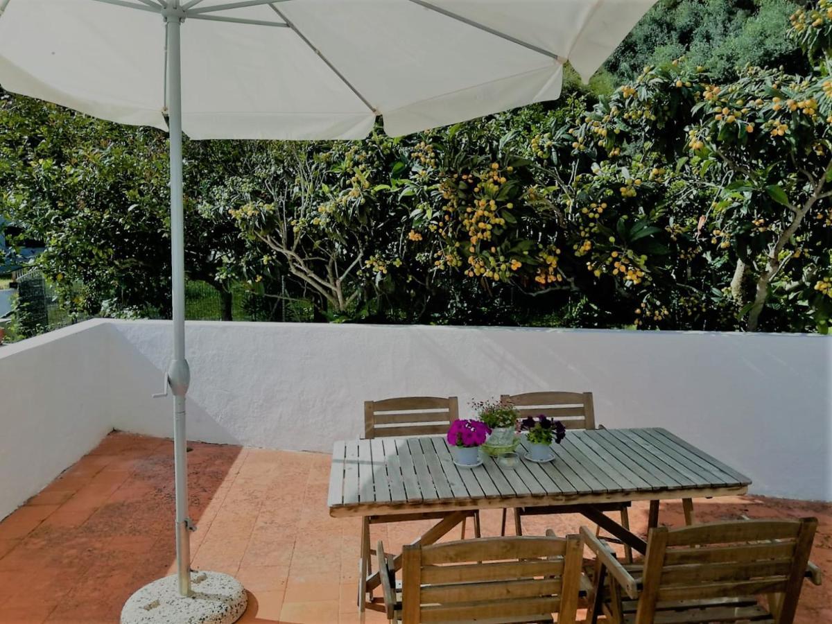 Cala Vinagra House Carloforte (Isola di San Pietro) Exterior foto
